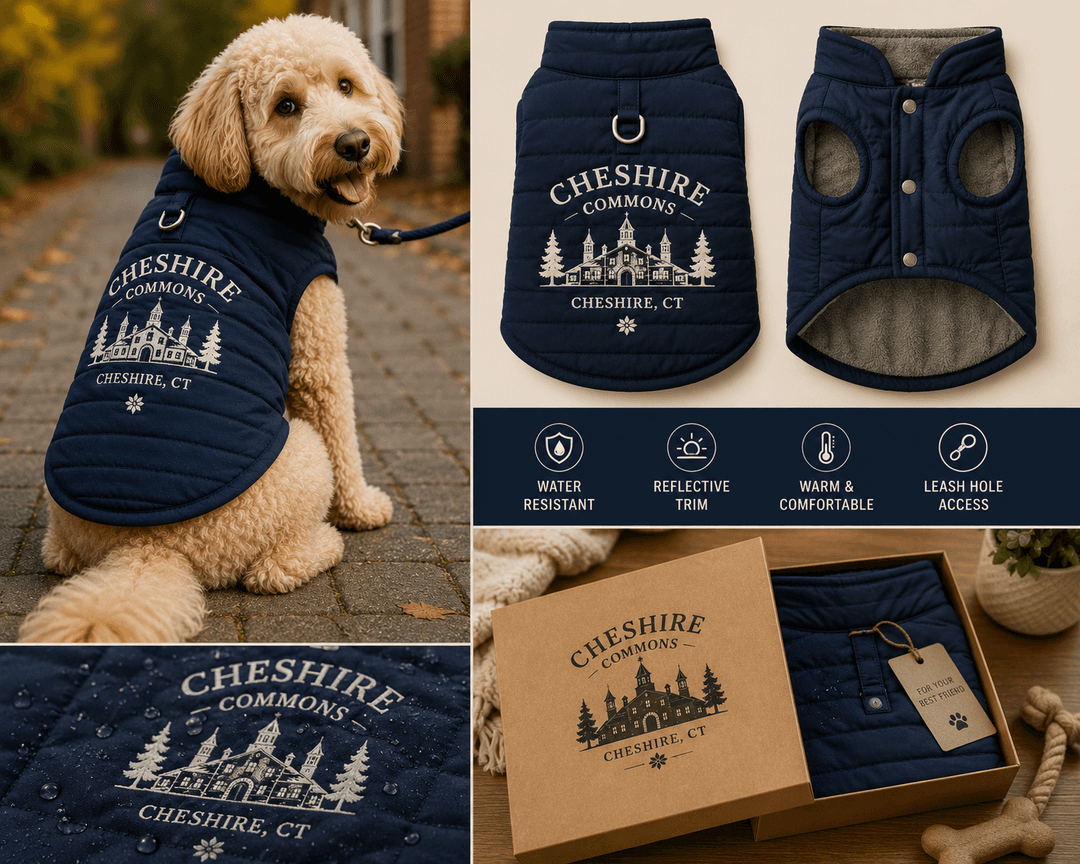 Dog wearing a navy quilted Cheshire Commons jacket on a leash